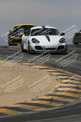 media/Mar-30-2025-Pro Autosports (Sun) [[34ff8f16e0]]/2-Blue-White Group/Main Race/